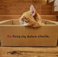 550001404 24402610572692954 6460168120879840411 n (1)