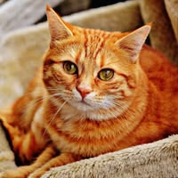 95179685 106806777678097 6404198376123924480 n