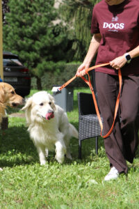 img 0021