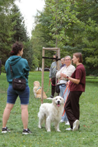 img 0248