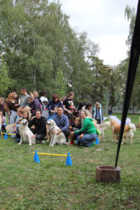 img 0378